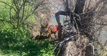 Kesikköprü’de Kaybolan Ramazan Karaaslan İçin Arama Çalışmaları Sürüyor