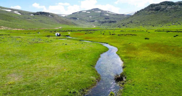 Ketençimen Yaylası: Yağışların Ardından Doğaseverlerin Yeni Cenneti