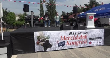 Kilis'te 3. Uluslararası Mercidabık Kongresi Gerçekleştirildi