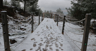 Kilis'te Kar Yağışı Etkisi