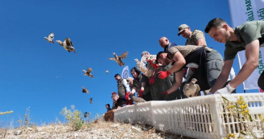 Kilis'te kınalı keklikler doğaya salındı
