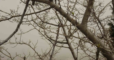Kilis'te Toz Taşınımı Sorunu