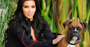 Kim Kardashian Köpeğine Silikon Taktırdı