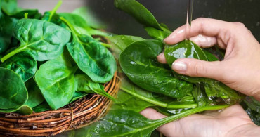 Kinder’den sonra şimdide ıspanakta salmonella tehlikesi: Hemen iade edin sakın tüketmeyin