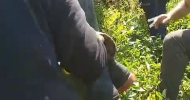 Kiraz toplarken ağaçtan düşen genç yaralandı