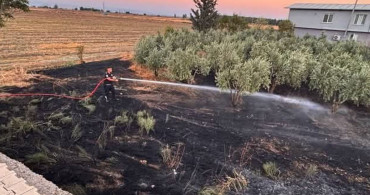 Kırıkhan'da zeytinlik alanda yangın