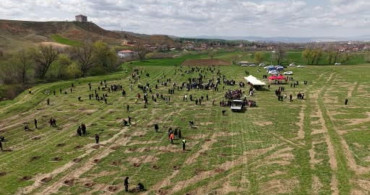 Kırıkkale'de 2 Bin Fidan Toprakla Buluştu