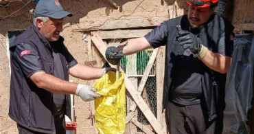Kırıkkale'de kümese giren yılan itfaiye tarafından çıkarıldı