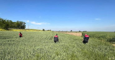 Kırklareli'nde Bilinçsiz İlaç Kullanımına Dikkat!