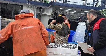 Kırklareli'nde Hamsi Avcılığına Sıkı Denetim
