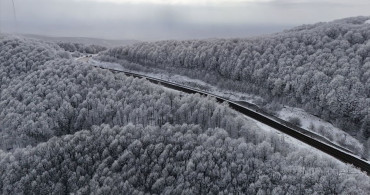 Kırklareli'nde Istranca Ormanları Karla Kaplandı