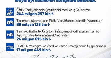 Kırsalda Üretime Destek: 375,6 Milyon Lira Hibe Ödemesi