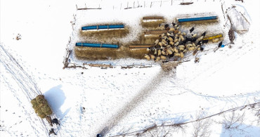 Kırsalda Zorlu Kış Yaşamı: Van'ın Gevaş İlçesi