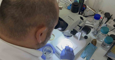 Kışın Uzunluğu Keneleri Yok Etmiyor