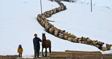 Kışın Zorluklarına Direnen Muradiyeli Çiftin Hikayesi