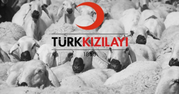 Kızılay 2022 Yurt içi, yurt dışı kurban bağışı kaç TL? Kızılay kurban bağış parası hangi banka şubelerinden yatırılır?