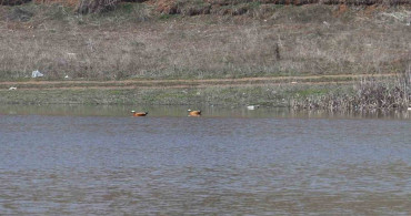 Kızılca Göleti Yeniden Hayat Buldu