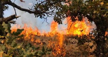 Kızılcahamam'da Yangın