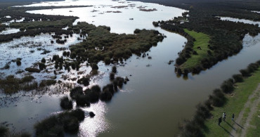 Kızılırmak Deltası Kuş Cenneti: Doğaseverlerin Gözdesi