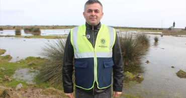 Kızılırmak Deltası'nda Su Seviyesi Yükseliyor: Kuş Cenneti Yeniden Hayat Buluyor