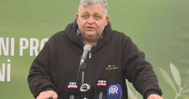 KKTC'de 'Kanlı Noel' Anısına Zeytin Fidanı Dikim Töreni Düzenlendi