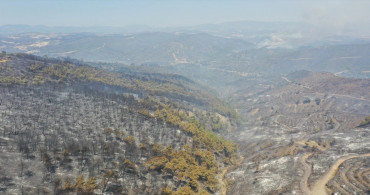 Koca Bir Orman Yok Oldu:  Yangınların Yürek Yakan Görüntüleri...