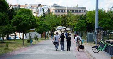 Kocaeli Üniversitesi'nde Sahipsiz Köpek Sorunu Devam Ediyor