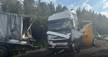 Kocaeli’de Anadolu Otoyolu’nda zincirleme kaza: 2 kişi hayatını kaybetti