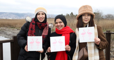 Kocaeli'de Flamingo Şenliği Coşkusu