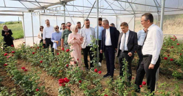 Kocaeli'de kadın girişimci hibe desteğiyle gül serası kurdu