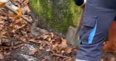 Kocaeli'de Kardeşler Arasındaki Cinayet Davasında Karar Verildi