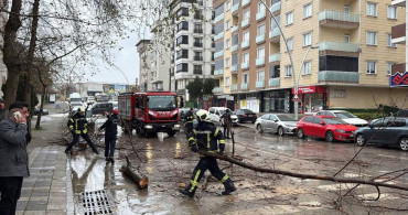 Kocaeli'de Kuvvetli Rüzgar Araçlara Zarar Verdi