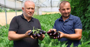 Kocaeli’de yüzde 50 hibe destekli modern seralarda ilk hasat başladı