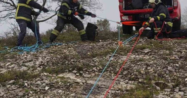 Kocaeli'de Zorlu Kurtarma Operasyonu: 16 Keçi ve Oğlak Hayata Döndü