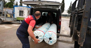 Kocaeli'deki Çiftçilere Sera Desteği Sağlanıyor