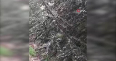 Kocaeli'nin Nisan Sürprizi: Kar Yağışı