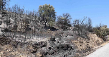 Koçarlı Belediye Başkanı Arıcı, yangın bölgesinde incelemelerde bulundu
