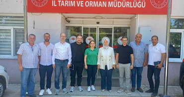 Konuralp pirinci ve Düzce kestane kabağı market raflarına taşınıyor