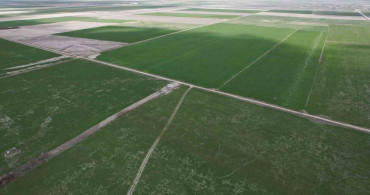 Konya Ovası'nda Rekolte Artışı Beklentisi