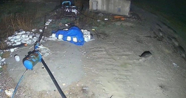 Konya'da Domuz Sürüsü Yerleşim Alanına İndi