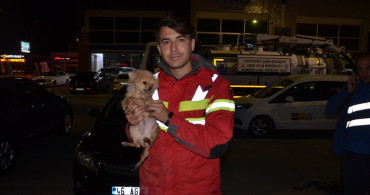 Konya'da İtfaiye Ekibi, Kanalizasyonda Sıkışan Köpek Yavrusunu Kurtardı