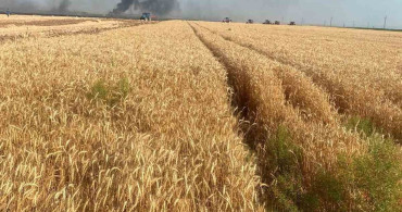 Konya'da tarla yangını: 500 dekar ekili alan zarar gördü