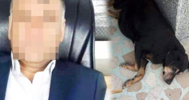 Köpeğe 1 Ay Tecavüz ve İşkence Eden Sapığa 600 Lira Ceza!!!