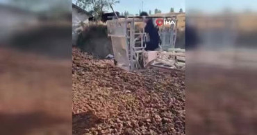 Köpeği gübre çukurunda boğulmaktan son anda kurtardılar