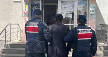 Köpeği Zincirle Ağaca Asarak Öldüren Şahıs Gözaltında