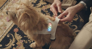 Köpeğinizin Ruh Halini Bu Cihaz İle Anlayabileceksiniz