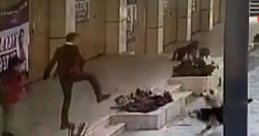 Köpek saldırıları bitmek bilmiyor: İstanbul'da 8 yaşındaki Ömer nerdeyse canından oluyordu!