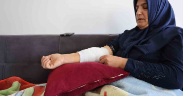 Köpek Saldırısından Yaralanan Kadın Olayı Anlattı