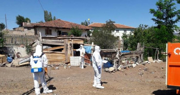 Korona İle Mücadele Devam Ederken Kuş Gribi