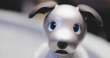Koronavirüs Japonya’da Robot Satışını Arttırdı